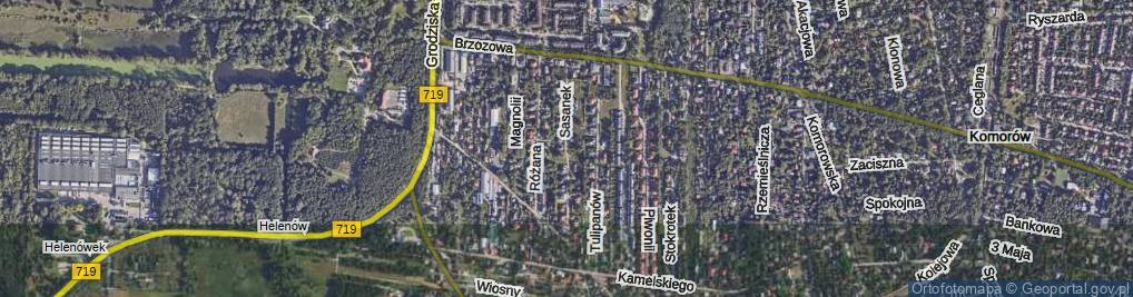 Zdjęcie satelitarne Sasanek ul.